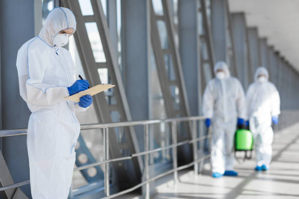 Best Mold Odor Removal Services  in Geneva, IN