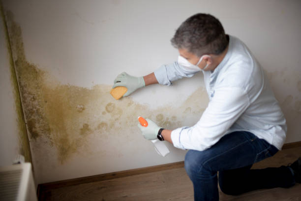 Mold Remediation for Rental Properties in Geneva, IN