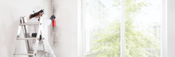 Best Water Damage & Mold Remediation  in Geneva, IN