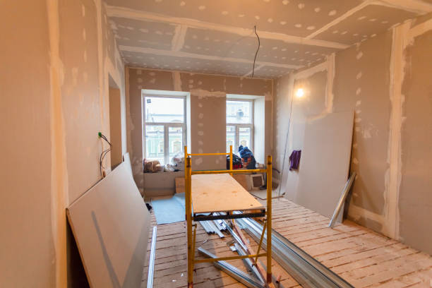 Best Attic Mold Removal  in Geneva, IN