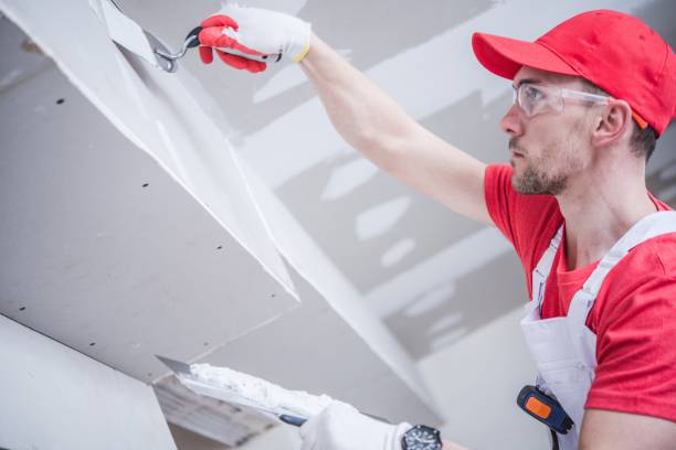 Best Basement Mold Removal  in Geneva, IN